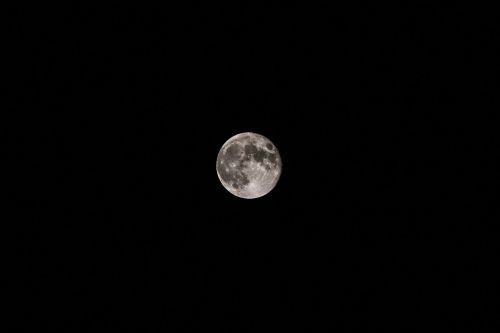 Juoda Ir Balta, Mėnulis, Tamsi, Naktis, Fotografija