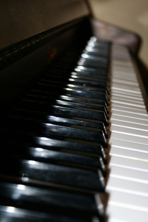 Instrumentas,  Muzikinis,  Fortepijonas,  Raktai,  Juoda,  Balta,  Juodos Ir Baltos Pianino Raktus