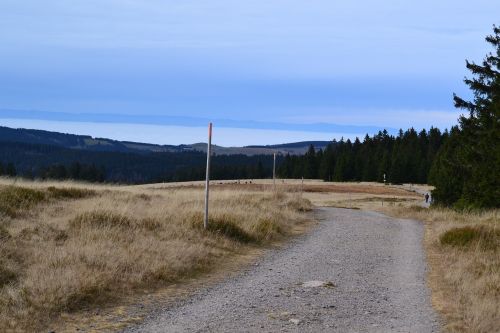Juodasis Miškas, Feldbergas, Kalnų Dviračių Takas, Panorama, Vaizdas, Horizontas