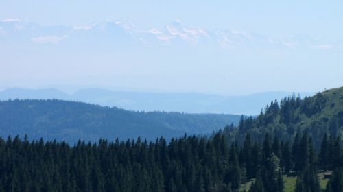 Juodasis Miškas, Feldbergas, Alpių, Eglės, Alpenblick, Vaizdas, Kalnai, Horizontas, Sniegas