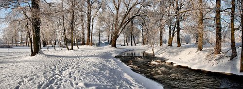 Juoda Hangcha,  Upė,  Pobūdį,  Medis,  Žiema