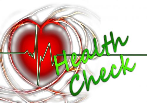 Į Sveikatą, Tyrimas, Širdies Plakimas, Impulsas, Kraujo Spaudimas, Kreivė, Širdis, Venos, Kraujas, Grandinė, Medicinos, Kraujo Cirkuliacija