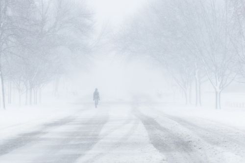 Blizzard, Sniegas, Žiema, Vaikščioti, Šaltas, Oras