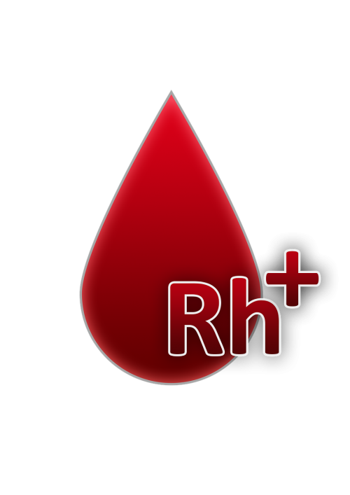 Kraujo Grupė, Rh Faktorius Teigiamas, Kraujas, Kraujo Lašas, Kraujo Donorystė, Rh Teigiamas, Rh, Rh Faktorius