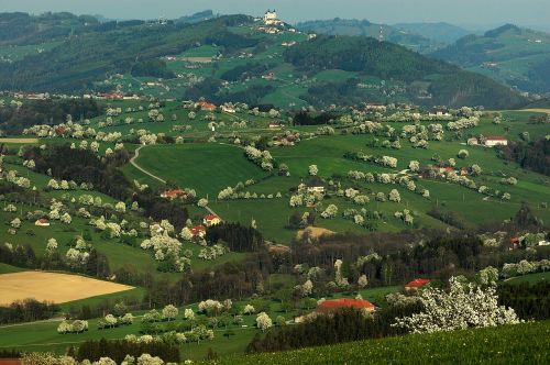 Žiedas, Mostviertel, Austria