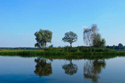 Mėlynas, Monolitinė Vandens Dalis, Gamta, Atspindėta Banga, Medis, Ežeras, Lenkija, Kraštovaizdis