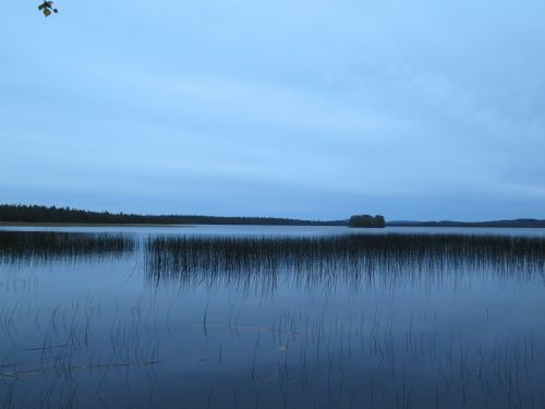 Mėlynas, Gamta, Ežeras, Nendrė, Tylus, Finland