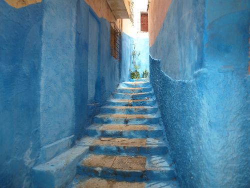 Mėlynas, Chefchaouen, Tipiškas, Marokas, Afrika, Gatvė, Marroc, Kraštovaizdis