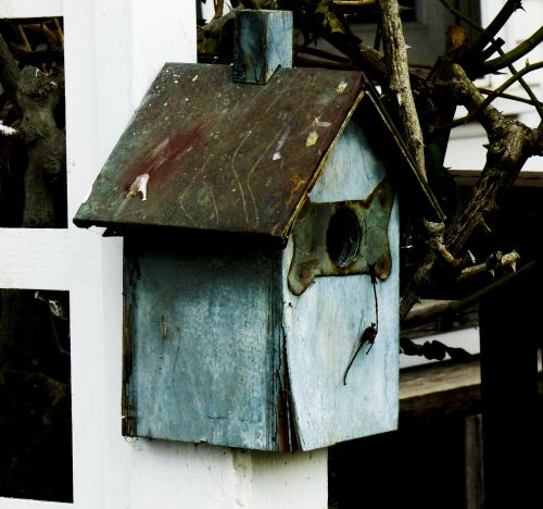 Birdhouse,  Mėlynas,  Medinis,  Dėvėti,  Metalas & Nbsp,  Stogas,  Iškraipytas,  Mėlyna Medinė Birdhouse