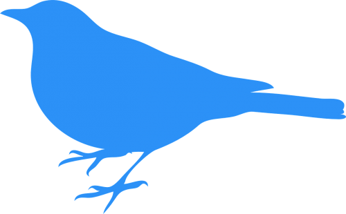 Mėlynas Paukštis, Paukštis, Gyvūnas, Mėlynas, Laukinė Gamta, Ornitologija, Twitter, Žvirblis, Rūšis, Uodega, Nemokama Vektorinė Grafika