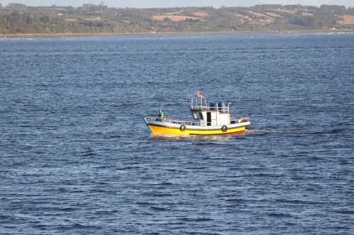Valtis, Amatininkų Žvejyba, Pietų Čile