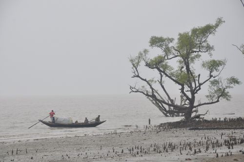 Valtis, Jūra, Sundarban, Turizmas, Gamta, Bangladešas