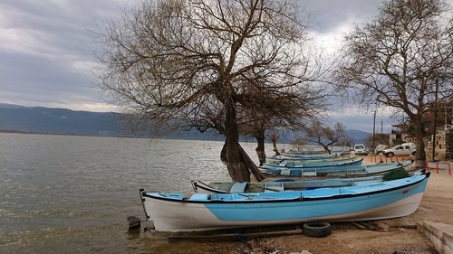 Valtis,  Ežeras,  Pobūdį,  Medis,  Kraštovaizdis