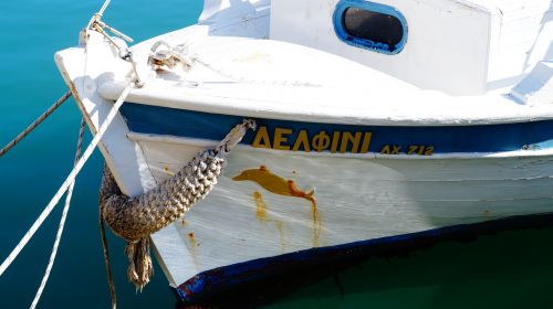 Valtis, Crete, Graikija, Delfinas