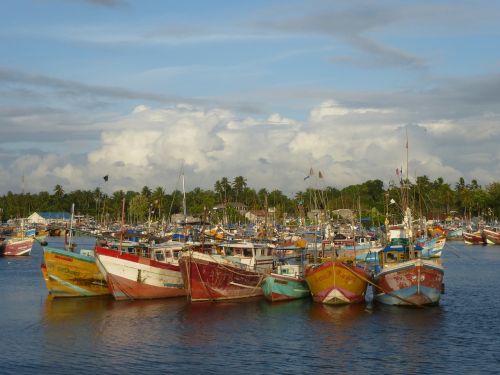 Valtys, Žvejybos Laivai, Šri Lanka, Uostas, Spalvinga