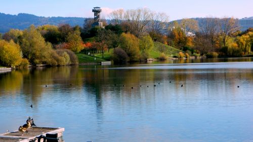 Vandens Telkinys, Ežeras, Upė, Medis, Gamta, Parkas, Ruduo, Panoraminis, Seepark, Freiburgas, Diena Graži