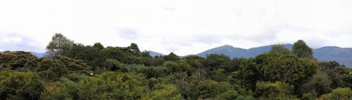 Bogotá, Panorama, Botanikos Sodas, Medžiai, Gamta, Kalnai