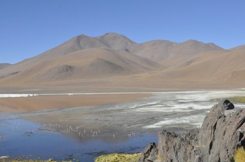 Druska & Nbsp,  Lagūnas,  Kalnai,  Spalvos,  Bolivija