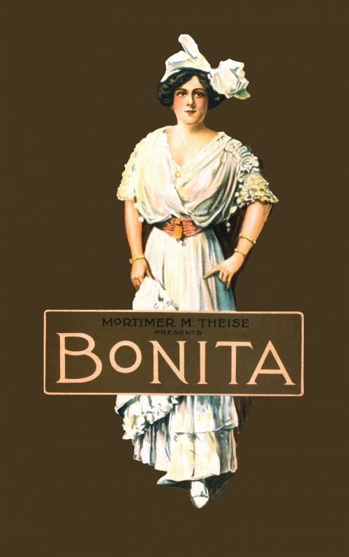 Bonita, Vintage, Plakatas, Moteris, Žmonės, Asmuo, Elegantiškas, Lady, Ruda