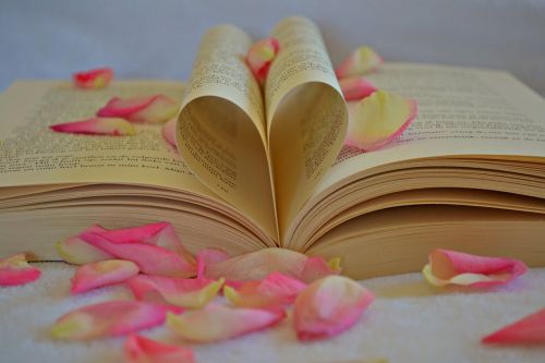 Knyga, Širdis, Širdis, Romantiškas, Romantika, Valentine, Širdies Formos, Meilė, Įsimylėjes, Skaitymas, Rožinis, Žiedlapiai, Rožių Žiedlapiai, Apdaila, Natiurmortas