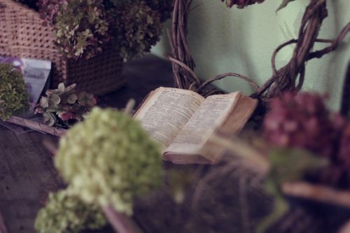 Knyga, Gėlės, Gyvenimas, Krepšelis, Skaityti, Skaitymas, Žydėti, Laisvalaikis, Atsipalaiduoti, Atsipalaidavimas, Atsipalaiduoti