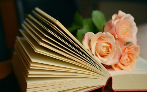 Knyga, Knygų Puslapiai, Skaityti, Rožės, Romantiškas, Literatūra, Puslapiai, Popierius, Naršyti, Knygos