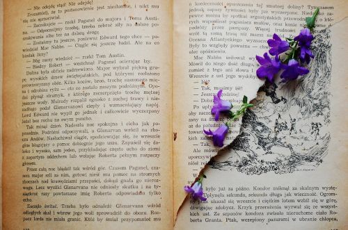 Knyga, Senoji Knyga, Gėlė, Gėlės, Violetinė, Vintage, Senas, Geltonieji Puslapiai, Skaityti