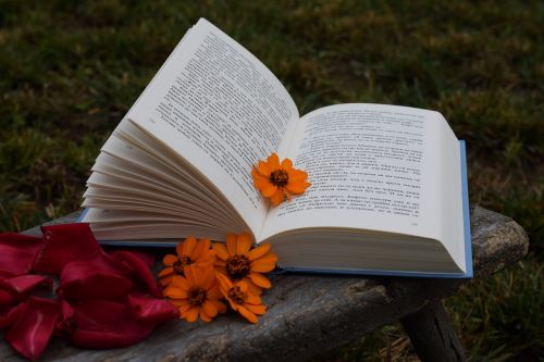 Knyga, Gėlės, Žiedlapiai, Oranžinė