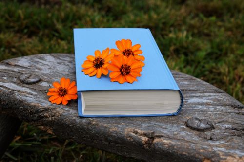 Knyga, Gėlės, Oranžinė, Mėlynas, Gražus