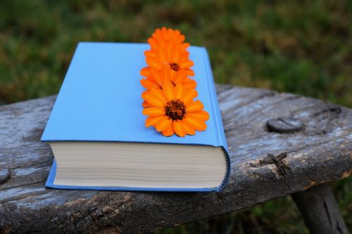 Knyga, Gėlės, Oranžinė, Mėlynas, Gražus