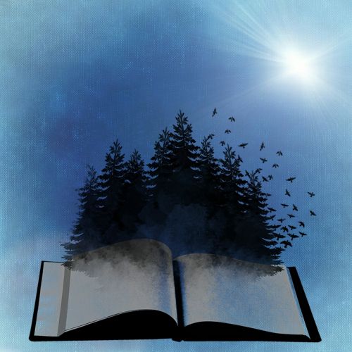 Knyga, Medžiai, Sirrealis, Miškas, Mistinis
