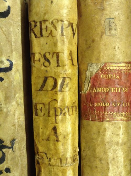 Knygos, Senas, Biblioteka, Pergamentas