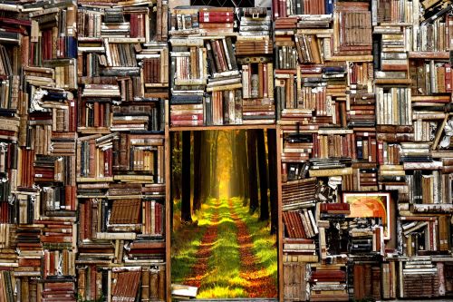 Knygos, Istorija, Miškas, Magiškas Pasaulis, Magija, Durys, Vaizduotė, Knyga, Skaitymas, Ruduo, Gamta, Fantazija