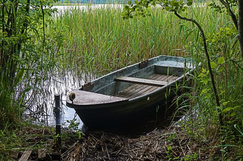 Boot, Augalas, Ežeras, Vanduo, Gamta, Vasara, Lauke