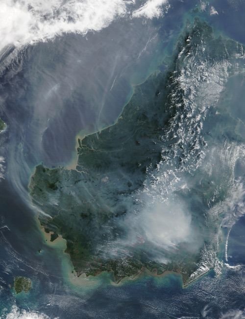 Borneo, Miško Gaisras, Palydovinis Vaizdas, Ugnis, Dūmai, Palydovinė Nuotrauka, Oro Vaizdas, Žemėlapis, Žemė, Atlasas