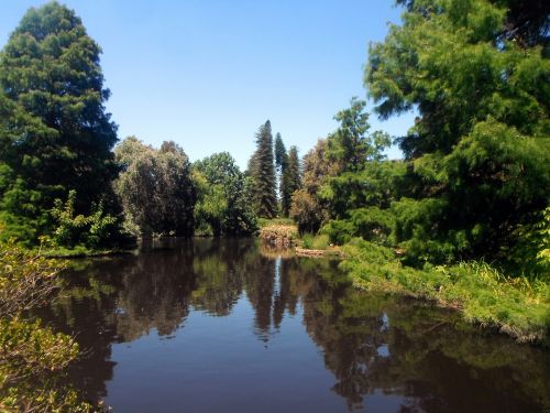 Tvenkinys,  Ežeras,  Medžiai,  Parkland,  Vaizdas,  Pušis,  Botanikos Parkas