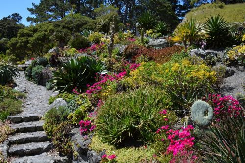 Botanikos Sodas, Sodas, Augalas, Medžiai, Gamta, Naujoji Zelandija, Gėlės, Kaktusas