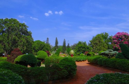 Botanikos Sodas, Lal Bagh, Parkas, Sodas, Žaluma, Bangalore, Indija