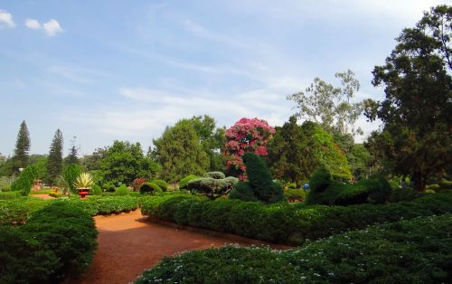 Botanikos Sodas, Lal Bagh, Parkas, Sodas, Žaluma, Bangalore, Indija