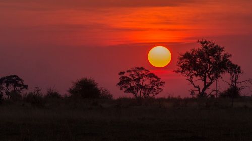 Botsvana, Okavango Delta, Saulėlydis
