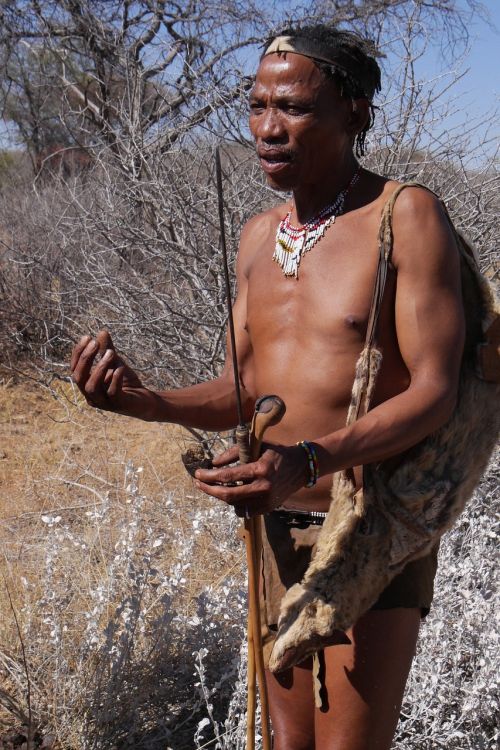 Botsvana, Bushman, Vietinė Kultūra, Medžiotojai Ir Kolekcininkai