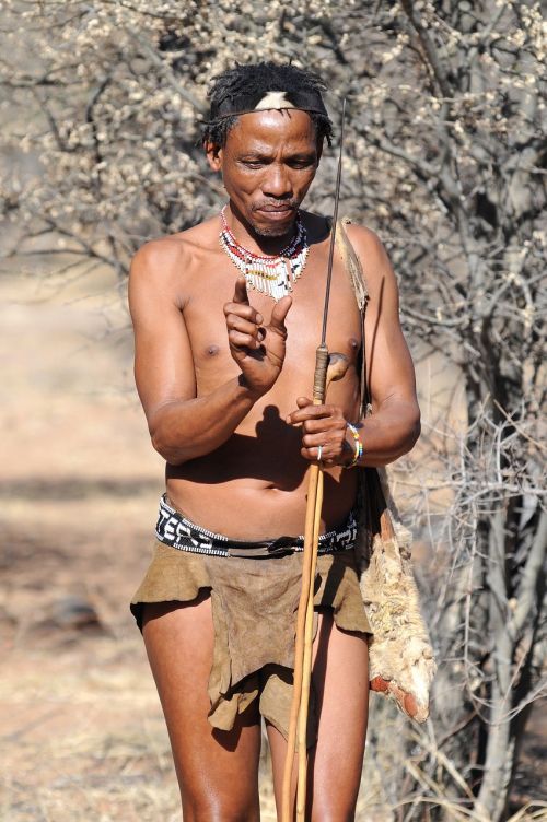 Botsvana, Bushman, Vietinė Kultūra, Medžiotojai Ir Kolekcininkai