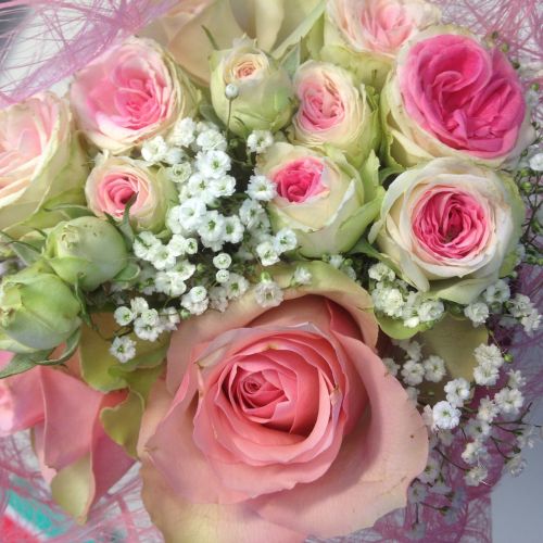 Puokštė, Gėlės, Rožės, Rožinis, Skintos Gėlės, Romantiškas, Floristika, Bouque Day