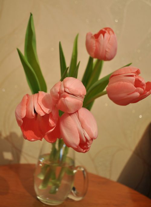 Gėlės,  Tulpės,  Gėlė,  Nuotrauka,  Rožinių Tulpių Puokštė