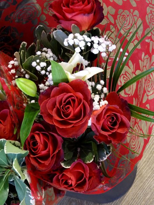 Gėlė,  Gėlės,  Rožė,  Rožės,  Raudona,  Flora,  Puokštės,  Puokštė,  Valentine,  Valentines,  Raudonų Rožių Puokštė