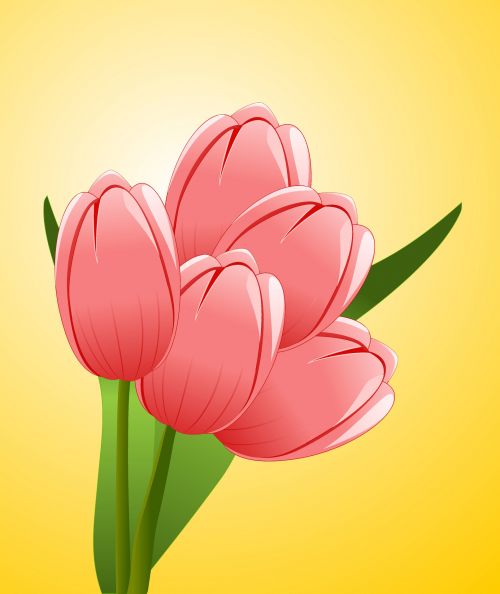 Iliustracija,  Tulpės,  Gėlės,  Puokštė,  Šventė,  Sveikinu,  Tulpių Puokštė