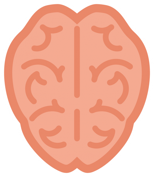 Smegenys, Žmogus, Vaizdas Iš Viršaus, Anatomija, Organas, Nemokama Vektorinė Grafika