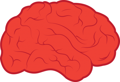 Smegenys, Neurologija, Protas, Anatomija, Medicina, Psichologija, Protinis, Intelektas, Mintis, Nervas, Piktograma, Galvoti, Nemokama Vektorinė Grafika