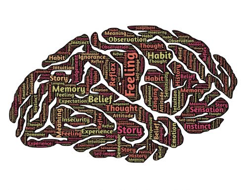 Smegenys, Protas, Mąstysena, Tikrovė, Suvokimas, Žvalgyba, Galvoti, Žinios, Konceptualus, Mąstymas, Tirpalas, Mokymasis, Žmogus, Tapatybė, Asmuo, Asmeninis, Psichologija, Procesas, Koncepcijos, Švietimas, Mintis, Neuronai, Idėjos, Kūrybiškumas