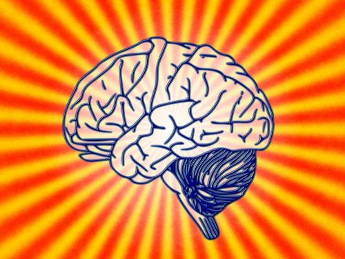 Smegenys, Mokslas, Biologija, Psichologija, Smegenų Tyrimai, Sąmoningumas, Psichoanalizė, Pasąmonė, Nesąmoningas, Psichika, Galvoti